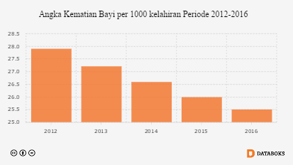 102486-meski-menurun-angka-kematian-bayi-di-indonesia-masih-tinggi